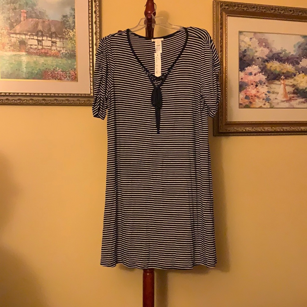 White and navy striped dress